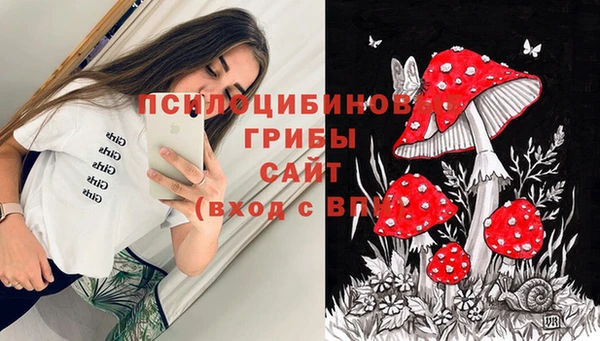 apvp Абдулино