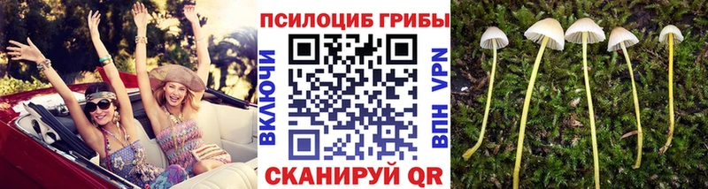 Псилоцибиновые грибы GOLDEN TEACHER  Ядрин 